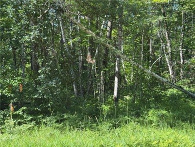 This level wooded lot is a great option for buyers looking to on Deacons Lodge Golf Course in Minnesota - for sale on GolfHomes.com, golf home, golf lot