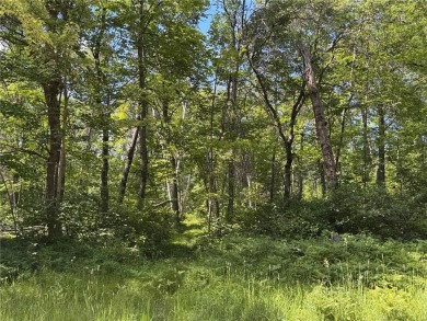 This level wooded lot is a great option for buyers looking to on Deacons Lodge Golf Course in Minnesota - for sale on GolfHomes.com, golf home, golf lot