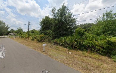 Available Single Family R1 residential lot in SunnLake Golf on Sun n Lake Golf and Country Club in Florida - for sale on GolfHomes.com, golf home, golf lot