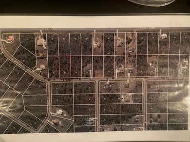 This is a residential piece of land located in Wedgefield, a on Wedgefield Golf Club in Florida - for sale on GolfHomes.com, golf home, golf lot