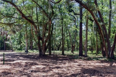 Nestled in the heart of Shellman Bluff, this two bedroom/two on Sapelo Hammock Golf Club in Georgia - for sale on GolfHomes.com, golf home, golf lot