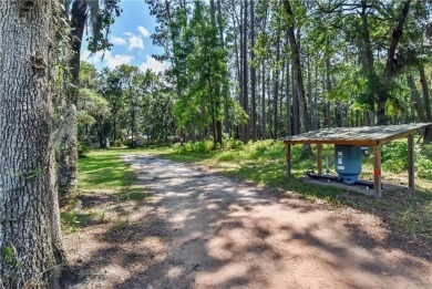 Nestled in the heart of Shellman Bluff, this two bedroom/two on Sapelo Hammock Golf Club in Georgia - for sale on GolfHomes.com, golf home, golf lot