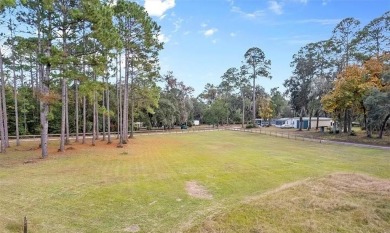 Nestled in the heart of Shellman Bluff, this two bedroom/two on Sapelo Hammock Golf Club in Georgia - for sale on GolfHomes.com, golf home, golf lot