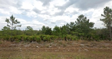 Available Single Family R1 residential lot in SunnLake Golf on Sun n Lake Golf and Country Club in Florida - for sale on GolfHomes.com, golf home, golf lot