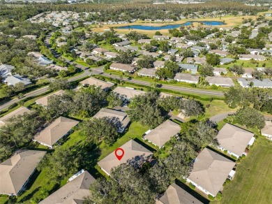 Discover the vibrant, active lifestyle of the 55+ community in on Falcon Watch Golf Club in Florida - for sale on GolfHomes.com, golf home, golf lot