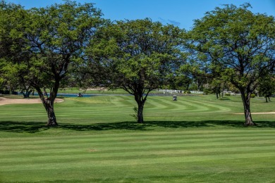 If you're in the market for a pet-friendly condo with on Waikoloa Village Golf Club in Hawaii - for sale on GolfHomes.com, golf home, golf lot