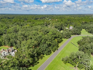 Discover the rare opportunity to build your dream estate on this on The Ford Field and River Club  in Georgia - for sale on GolfHomes.com, golf home, golf lot