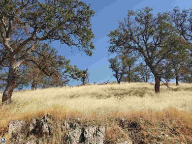 Nice gently tapered lot with a view of the local Golf Course on Lake Don Pedro Golf Course in California - for sale on GolfHomes.com, golf home, golf lot