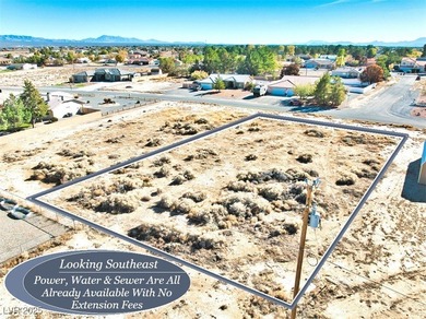 If You Are Looking For A Wonderful Property That Is Truly Ready on Lakeview Executive Golf Course in Nevada - for sale on GolfHomes.com, golf home, golf lot