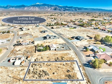 If You Are Looking For A Wonderful Property That Is Truly Ready on Lakeview Executive Golf Course in Nevada - for sale on GolfHomes.com, golf home, golf lot