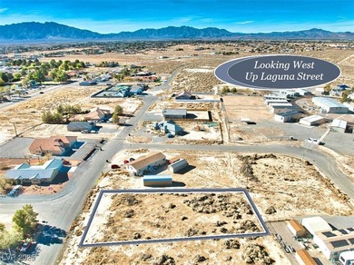 If You Are Looking For A Wonderful Property That Is Truly Ready on Lakeview Executive Golf Course in Nevada - for sale on GolfHomes.com, golf home, golf lot