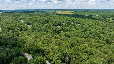 Imagine building your getaway in a quiet, wooded setting just on Lake Tansi Village Country Club in Tennessee - for sale on GolfHomes.com, golf home, golf lot