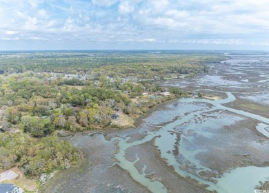 **Coastal Charm & Resort Living in North Myrtle Beach!** on Tidewater Golf Club and Plantation in South Carolina - for sale on GolfHomes.com, golf home, golf lot