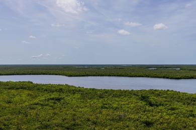 Come and indulge in the casual luxury of this spacious and on Hammock Bay in Florida - for sale on GolfHomes.com, golf home, golf lot