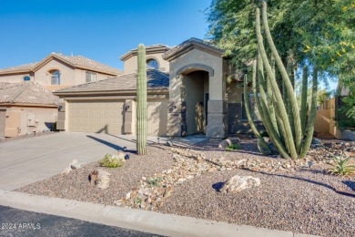 Welcome home to this recently remodeled golf course and mountain on Sanctuary Golf Course At WestWorld in Arizona - for sale on GolfHomes.com, golf home, golf lot