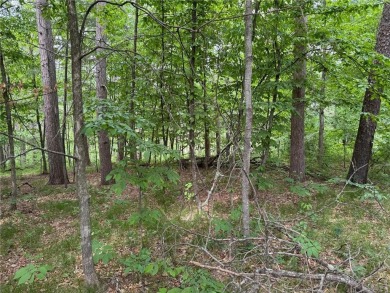 Your vision starts here in Breezy Point. Check out this on Deacons Lodge Golf Course in Minnesota - for sale on GolfHomes.com, golf home, golf lot