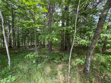 Your vision starts here in Breezy Point. Check out this on Deacons Lodge Golf Course in Minnesota - for sale on GolfHomes.com, golf home, golf lot