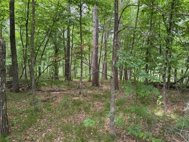 Your vision starts here in Breezy Point. Check out this on Deacons Lodge Golf Course in Minnesota - for sale on GolfHomes.com, golf home, golf lot