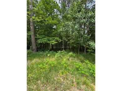 Your vision starts here in Breezy Point. Check out this on Deacons Lodge Golf Course in Minnesota - for sale on GolfHomes.com, golf home, golf lot