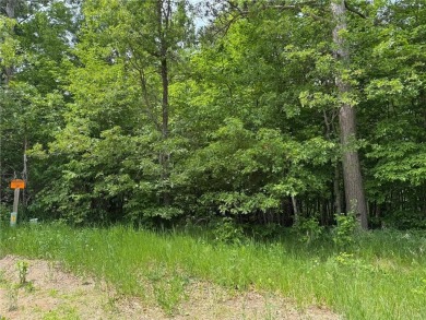 Your vision starts here in Breezy Point. Check out this on Deacons Lodge Golf Course in Minnesota - for sale on GolfHomes.com, golf home, golf lot