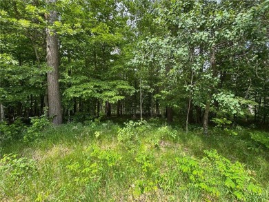 Your vision starts here in Breezy Point. Check out this on Deacons Lodge Golf Course in Minnesota - for sale on GolfHomes.com, golf home, golf lot