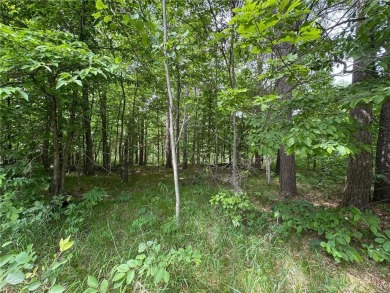 Your vision starts here in Breezy Point. Check out this on Deacons Lodge Golf Course in Minnesota - for sale on GolfHomes.com, golf home, golf lot