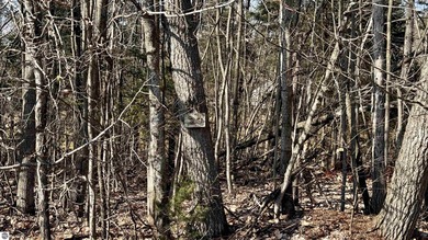 Nice homesite in Lakewood On The Green development. This lot on Cadillac Country Club in Michigan - for sale on GolfHomes.com, golf home, golf lot