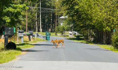 ULTRA MODERN RENOVATED COLONIAL Tastefully Renovated 4BR 3 Full on Pocono Farms Country Club in Pennsylvania - for sale on GolfHomes.com, golf home, golf lot