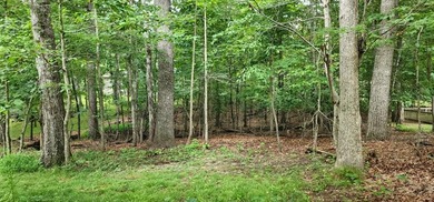 Nice .23 acre lot located in Fairfield Glade; Tennessee's Golf on Druid Hills Golf Club in Tennessee - for sale on GolfHomes.com, golf home, golf lot