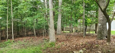 Nice .23 acre lot located in Fairfield Glade; Tennessee's Golf on Druid Hills Golf Club in Tennessee - for sale on GolfHomes.com, golf home, golf lot