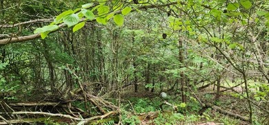 Nice .27 acre lot located in Fairfield Glade; Tennessee's Golf on Druid Hills Golf Club in Tennessee - for sale on GolfHomes.com, golf home, golf lot