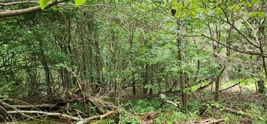 Nice .27 acre lot located in Fairfield Glade; Tennessee's Golf on Druid Hills Golf Club in Tennessee - for sale on GolfHomes.com, golf home, golf lot