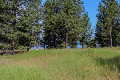 DREAM PROPERTY WITH VIEWS OF LAKE CASCADE! Short walk to the on Cascade Golf Course in Idaho - for sale on GolfHomes.com, golf home, golf lot