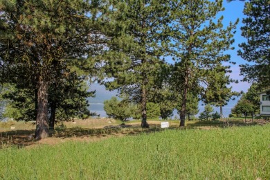 DREAM PROPERTY WITH VIEWS OF LAKE CASCADE! Short walk to the on Cascade Golf Course in Idaho - for sale on GolfHomes.com, golf home, golf lot