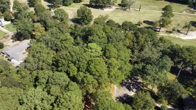 Lots 10 and 11 in Country Club Colony offer a fantastic on El Dorado Golf and Country Club in Arkansas - for sale on GolfHomes.com, golf home, golf lot
