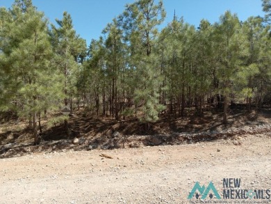 Fairly level lot, would be suitable for RV parking.  It has tall on Timberon Golf Course in New Mexico - for sale on GolfHomes.com, golf home, golf lot