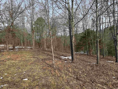 Rare opportunity to own 21.88 acres in one of Mountain View's on Pine Hills Golf Course in Arkansas - for sale on GolfHomes.com, golf home, golf lot
