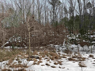 Rare opportunity to own 21.88 acres in one of Mountain View's on Pine Hills Golf Course in Arkansas - for sale on GolfHomes.com, golf home, golf lot