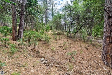 Great lot available in Pine Mountain Lake! Build your dream home on Pine Mountain Lake Country Club in California - for sale on GolfHomes.com, golf home, golf lot