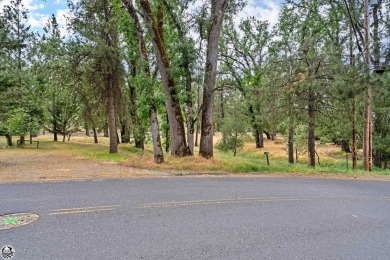 SPECIAL PRICE- MAKE OFFER BY 7/12! Great lot available in Pine on Pine Mountain Lake Country Club in California - for sale on GolfHomes.com, golf home, golf lot