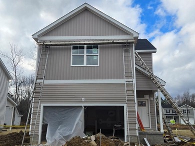 BRAND NEW FLOORPLAN - TOUR BEFORE IT'S CLOSED! This Violet on Cookeville Golf  Club in Tennessee - for sale on GolfHomes.com, golf home, golf lot