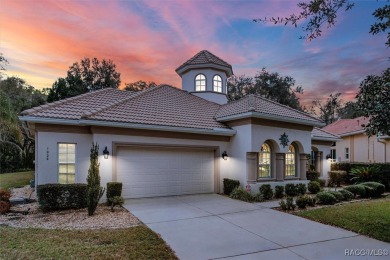 Introducing your dream home! Nestled in a serene cul-de-sac on Skyview At Terra Vista Golf and Country Club in Florida - for sale on GolfHomes.com, golf home, golf lot