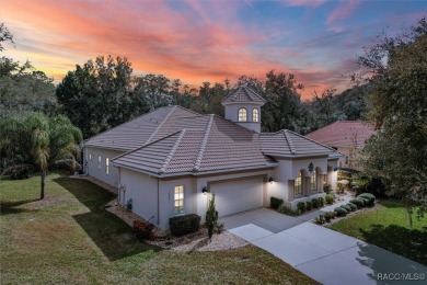 Introducing your dream home! Nestled in a serene cul-de-sac on Skyview At Terra Vista Golf and Country Club in Florida - for sale on GolfHomes.com, golf home, golf lot