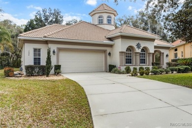 Introducing your dream home! Nestled in a serene cul-de-sac on Skyview At Terra Vista Golf and Country Club in Florida - for sale on GolfHomes.com, golf home, golf lot