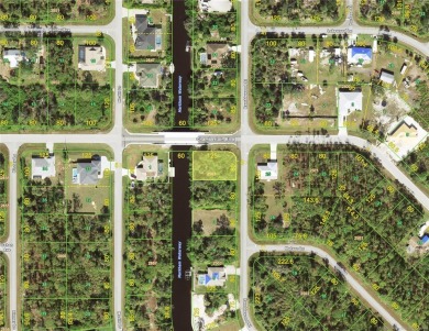 Gulf Access and great locatiobn convenient to North Port, Port on Sabal Trace Golf and Country Club in Florida - for sale on GolfHomes.com, golf home, golf lot