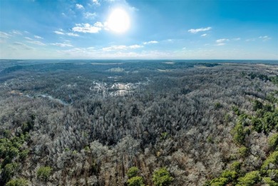 Looking for 20 acres in the woods? This property is located just on Pine Dunes Golf Course in Texas - for sale on GolfHomes.com, golf home, golf lot