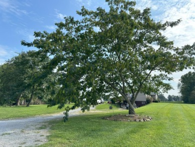 This property does not lack space or potential! This ranch style on Hat Creek Golf Course in Virginia - for sale on GolfHomes.com, golf home, golf lot