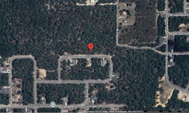 Nice  1/2  acre building lot is Citrus Springs!! ...with public on Pine Ridge Community Golf and Country Club in Florida - for sale on GolfHomes.com, golf home, golf lot