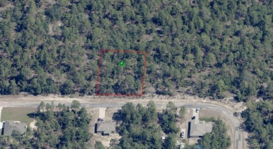 Nice  1/2  acre building lot is Citrus Springs!! ...with public on Pine Ridge Community Golf and Country Club in Florida - for sale on GolfHomes.com, golf home, golf lot