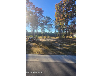 Discover the perfect setting for your coastal dream home on this on Sea Trail Golf Resort in North Carolina - for sale on GolfHomes.com, golf home, golf lot